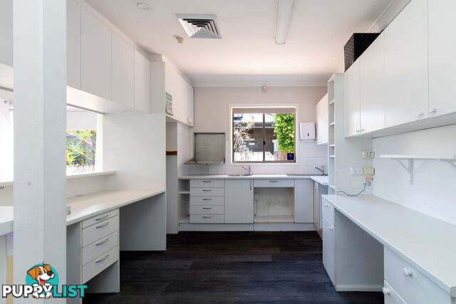 197 Woodland Street BALGOWLAH NSW 2093