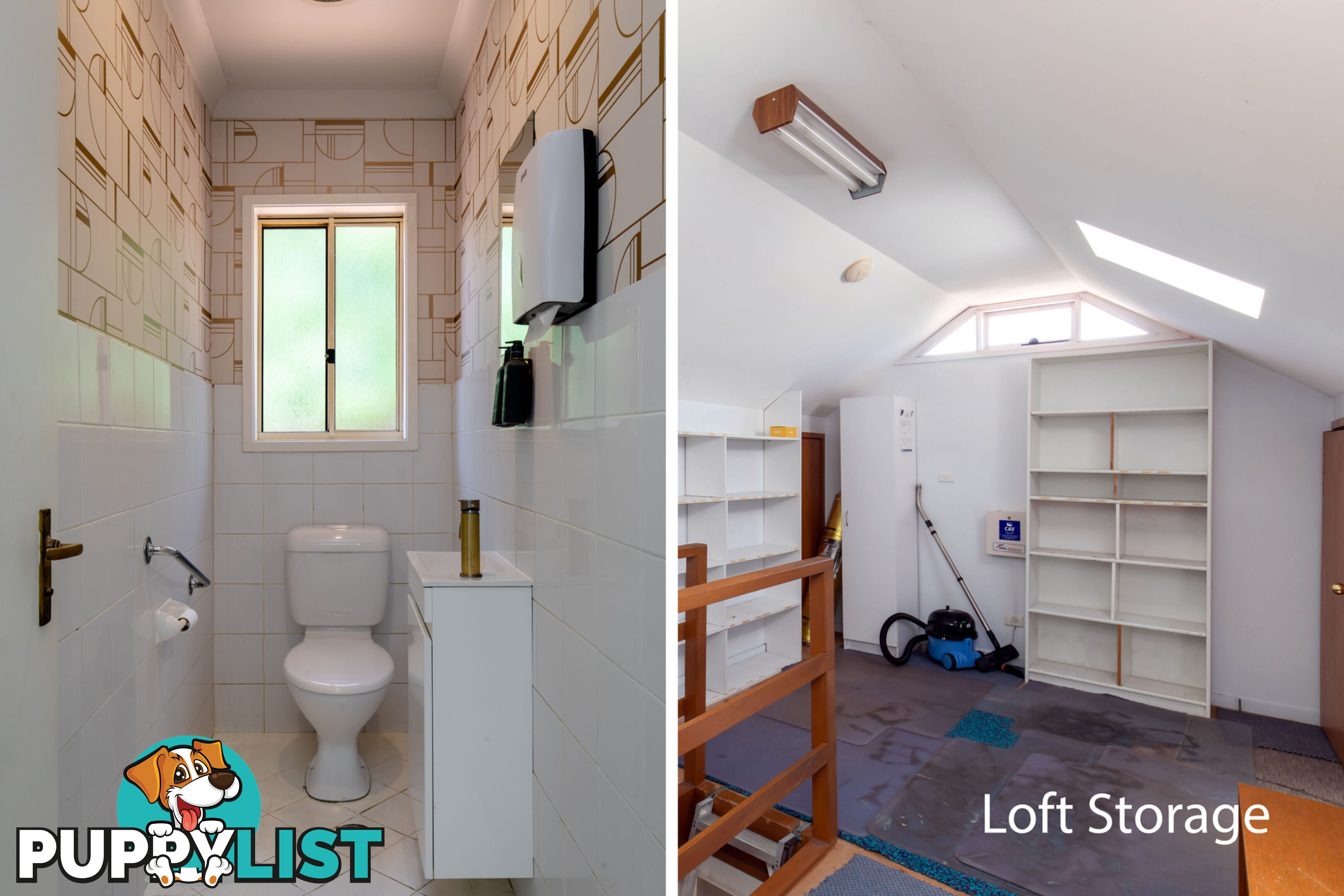 197 Woodland Street BALGOWLAH NSW 2093