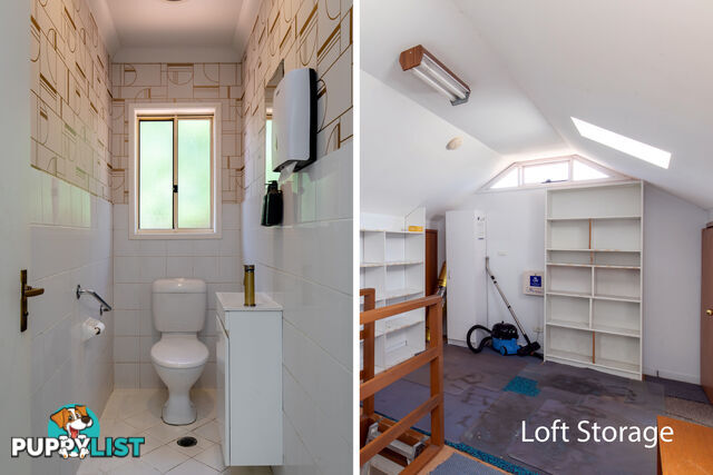 197 Woodland Street BALGOWLAH NSW 2093