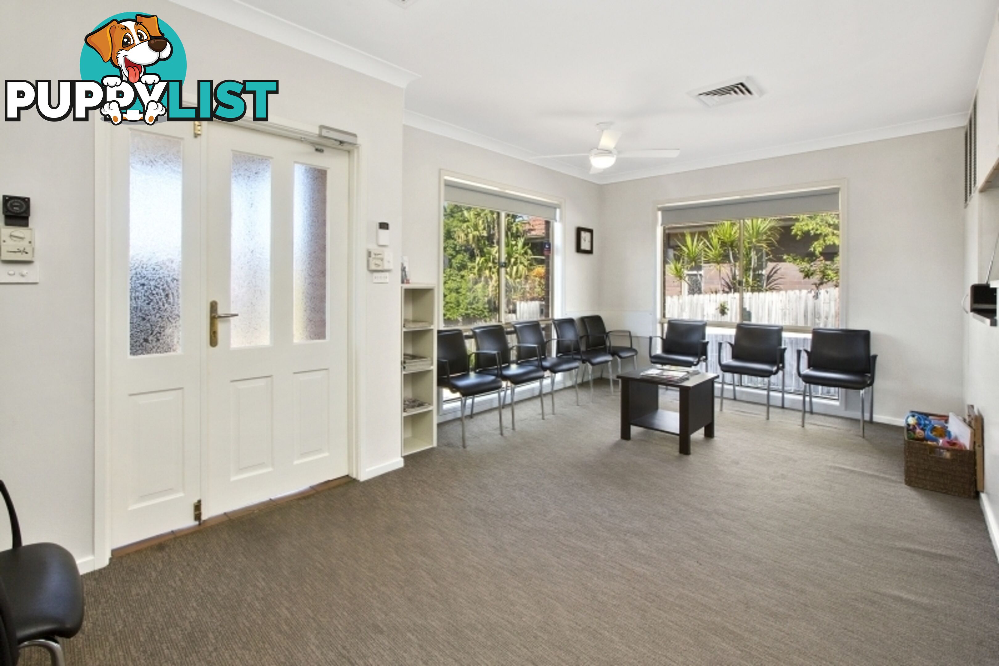 197 Woodland Street BALGOWLAH NSW 2093