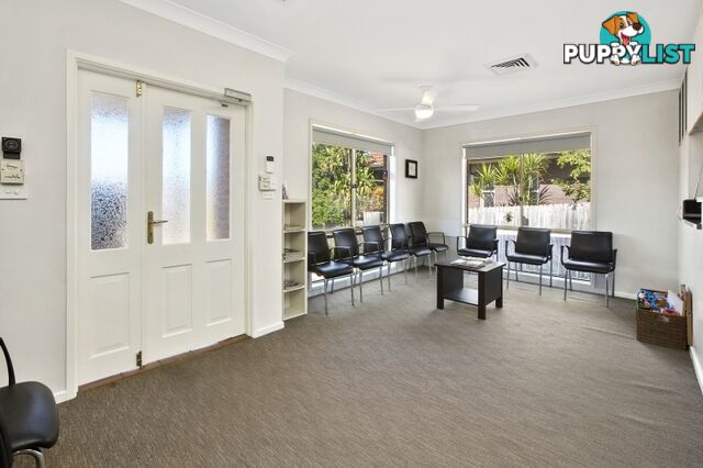 197 Woodland Street BALGOWLAH NSW 2093