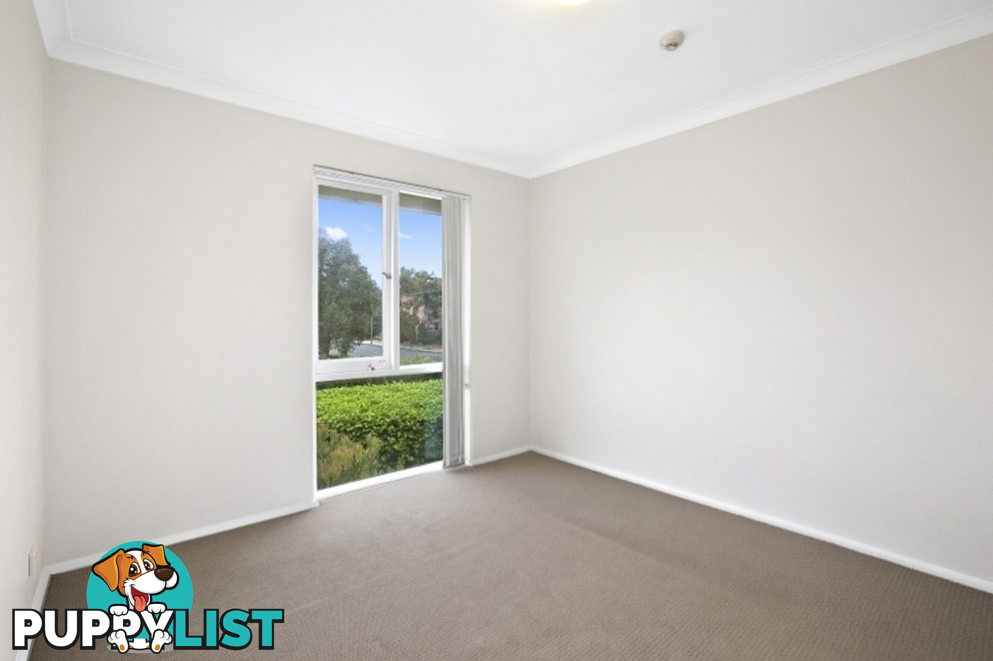 2/120 Fisher Road DEE WHY NSW 2099