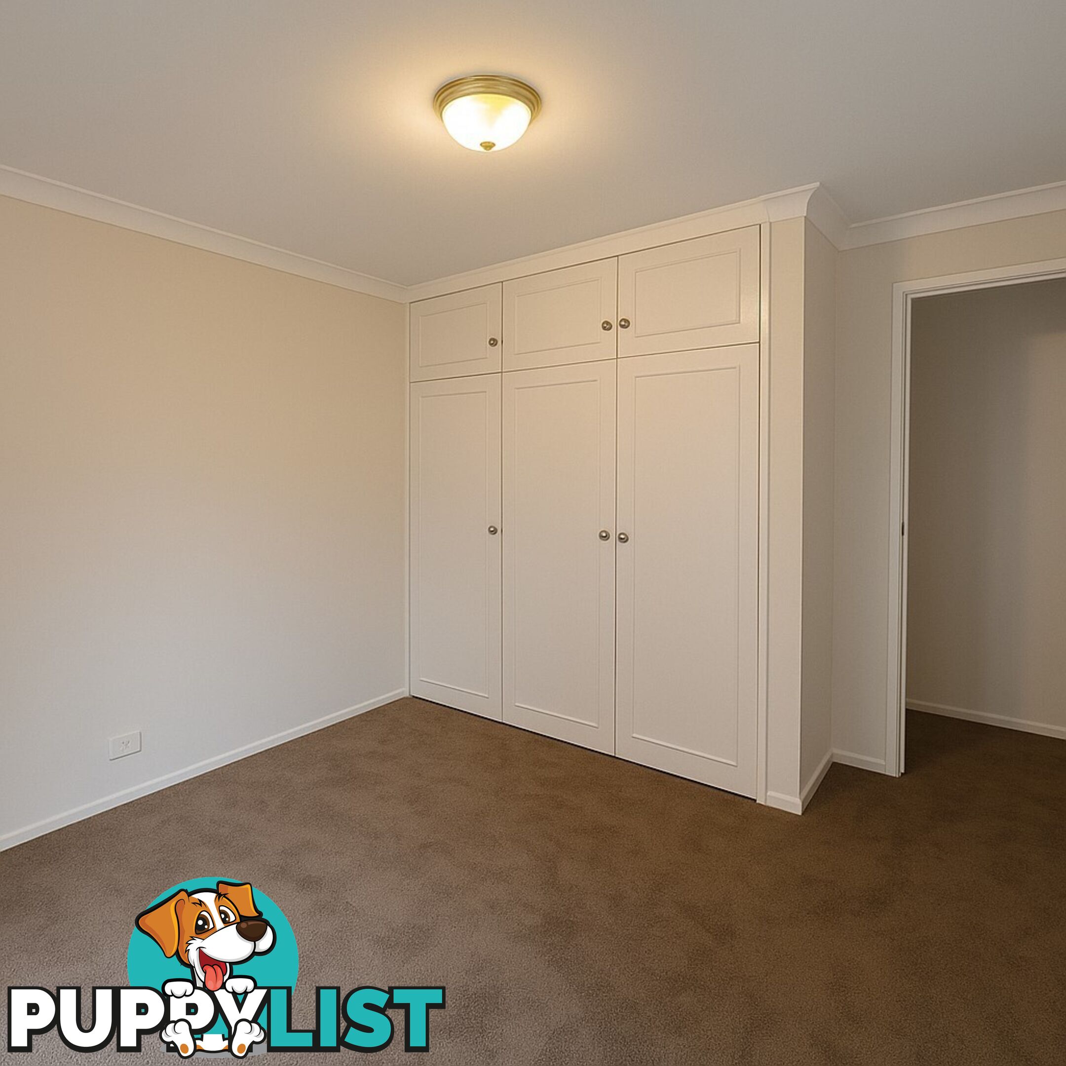 2/120 Fisher Road DEE WHY NSW 2099