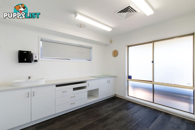 197 Woodland Street BALGOWLAH NSW 2093