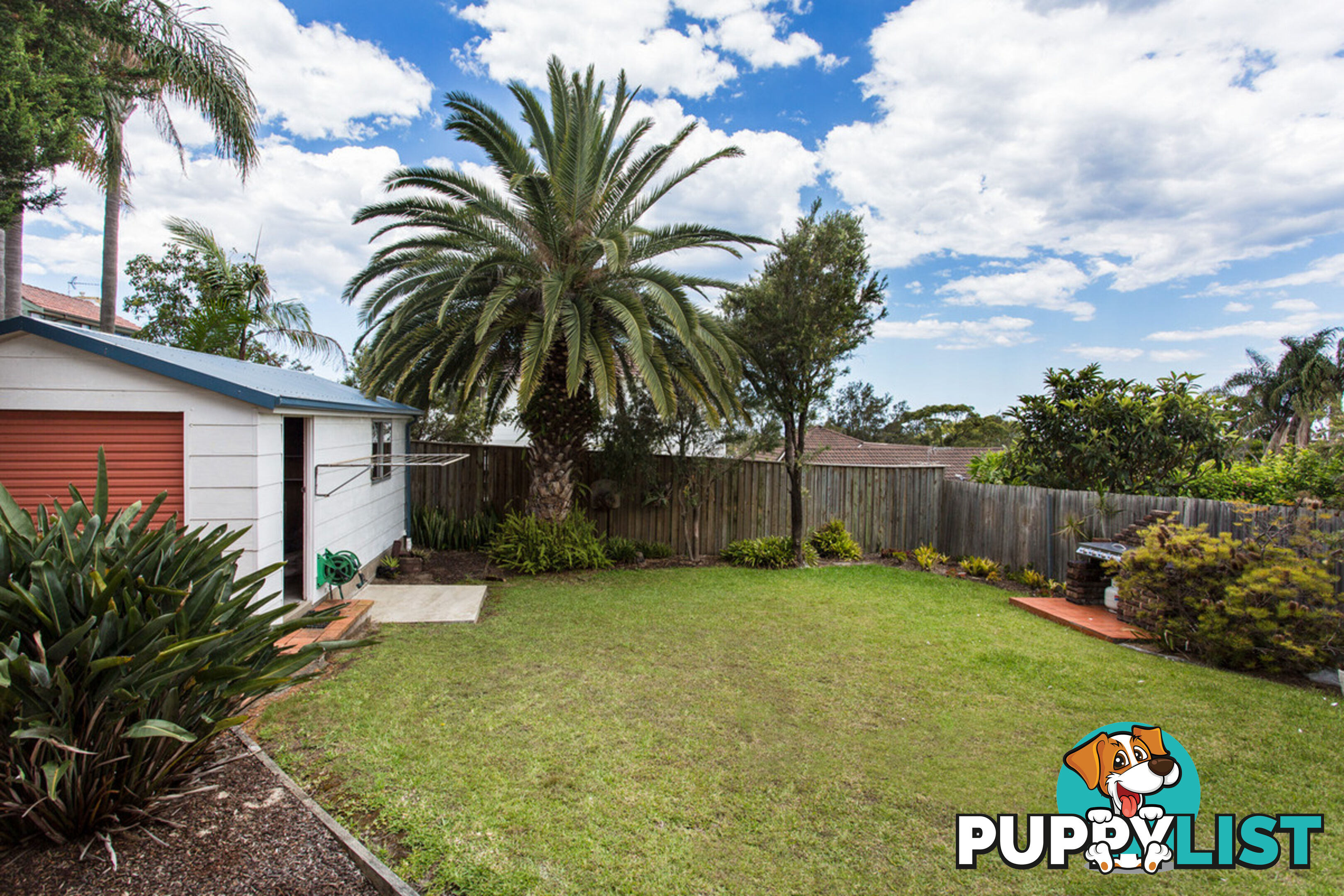 23 Fairport Street NORTH CURL CURL NSW 2099