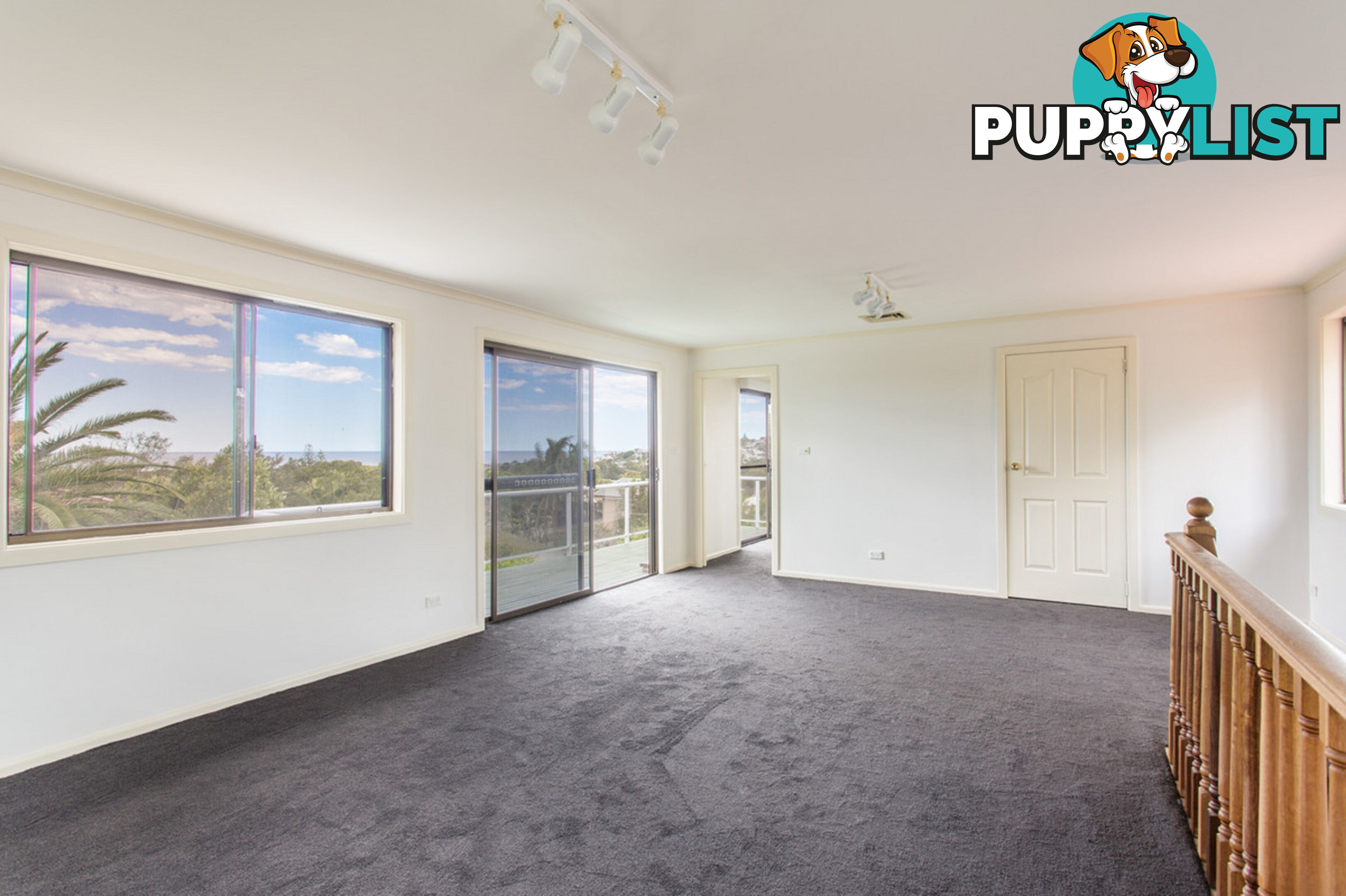 23 Fairport Street NORTH CURL CURL NSW 2099