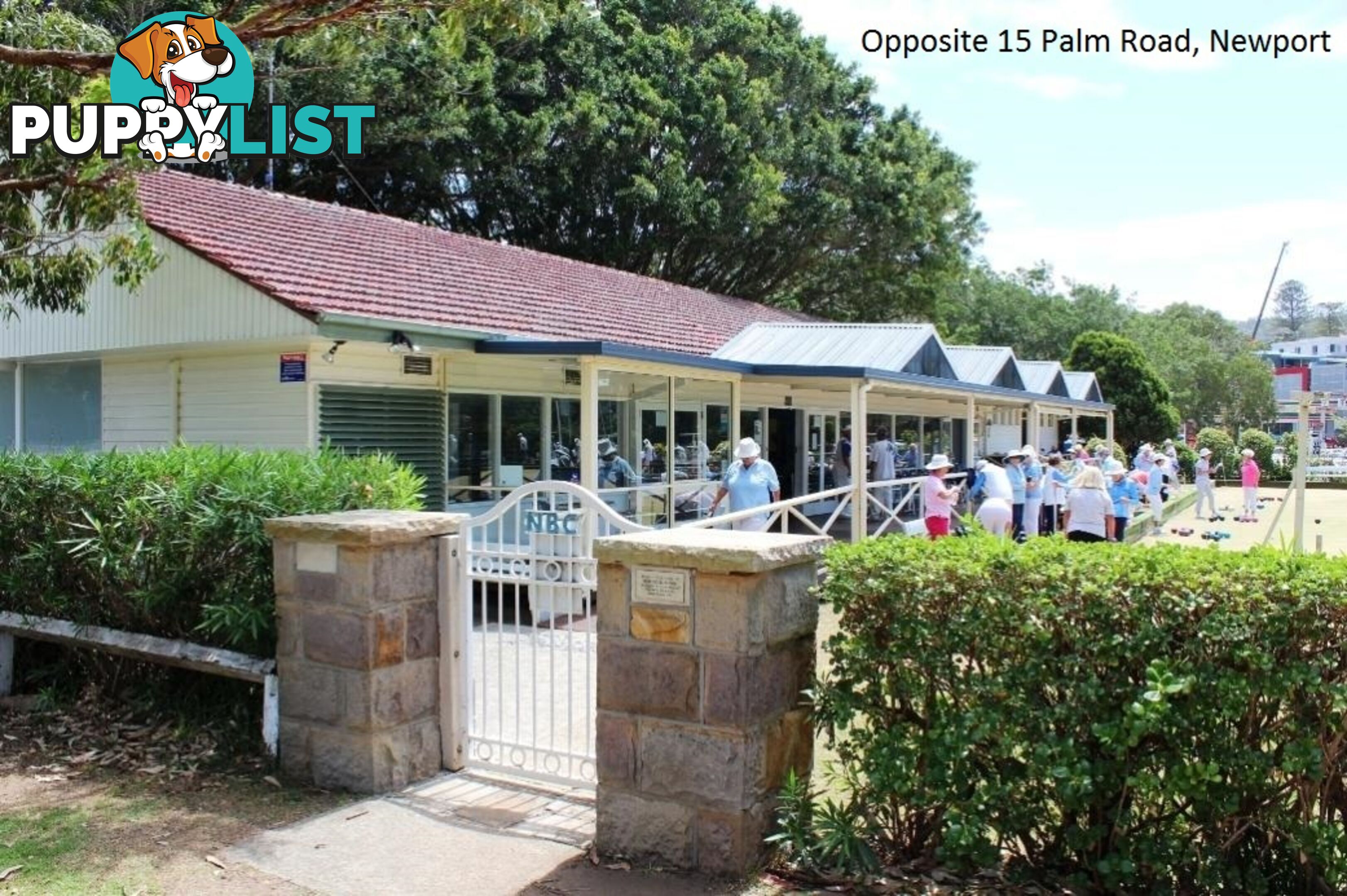 29 Palm Road NEWPORT NSW 2106