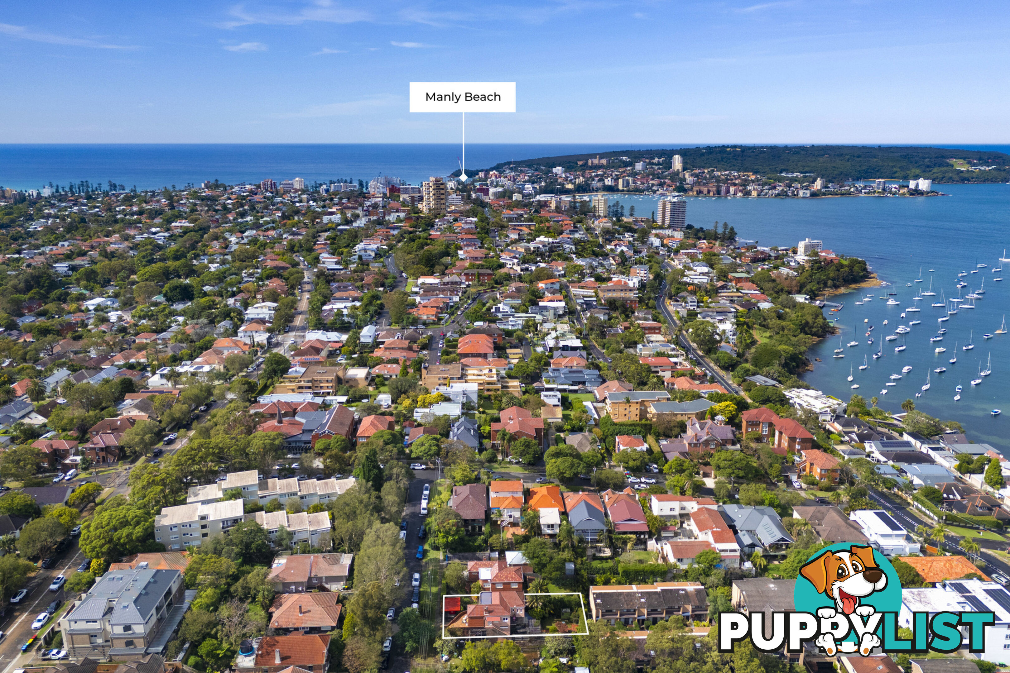 3 Bentley Street BALGOWLAH NSW 2093