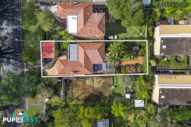 3 Bentley Street BALGOWLAH NSW 2093