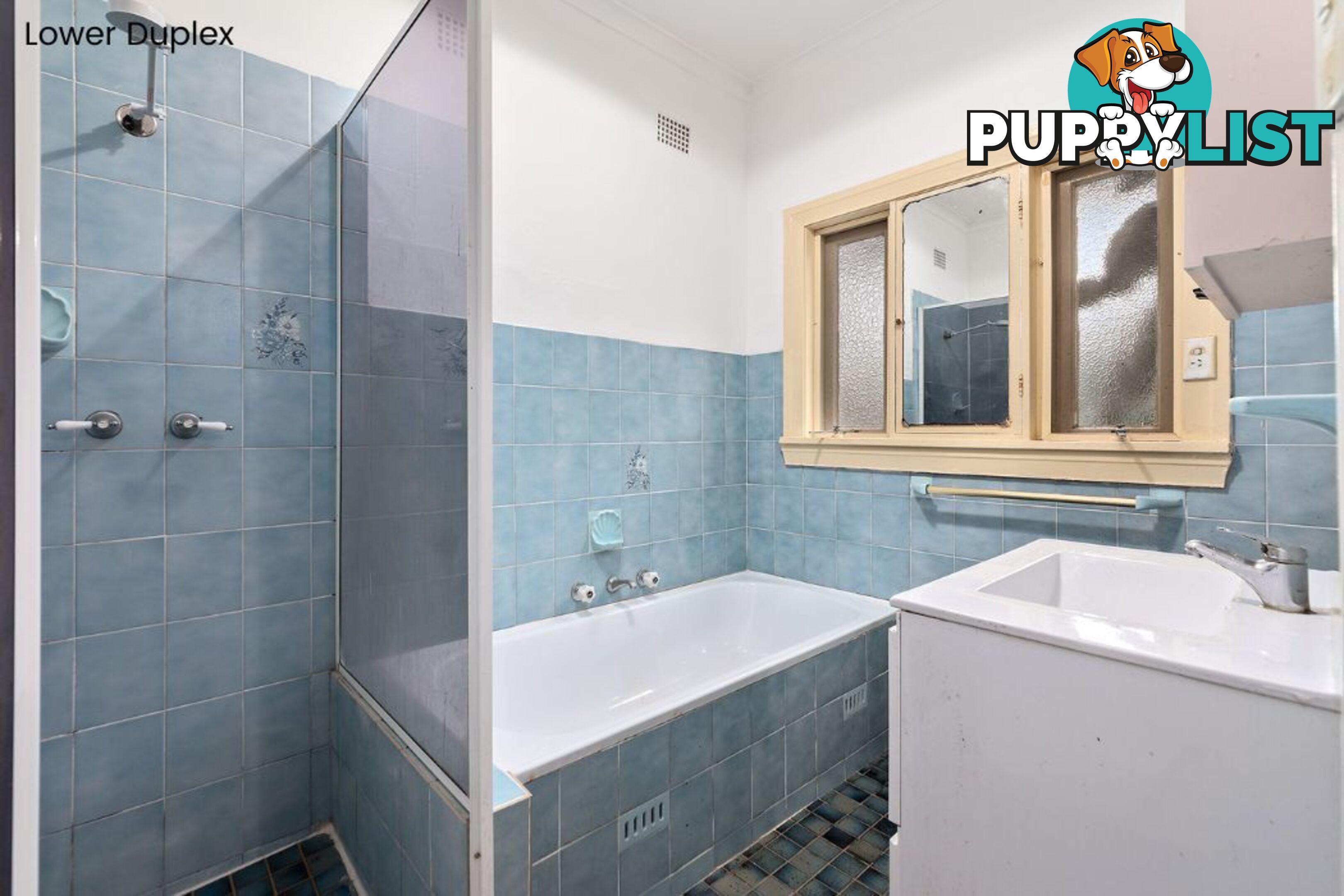 3 Bentley Street BALGOWLAH NSW 2093