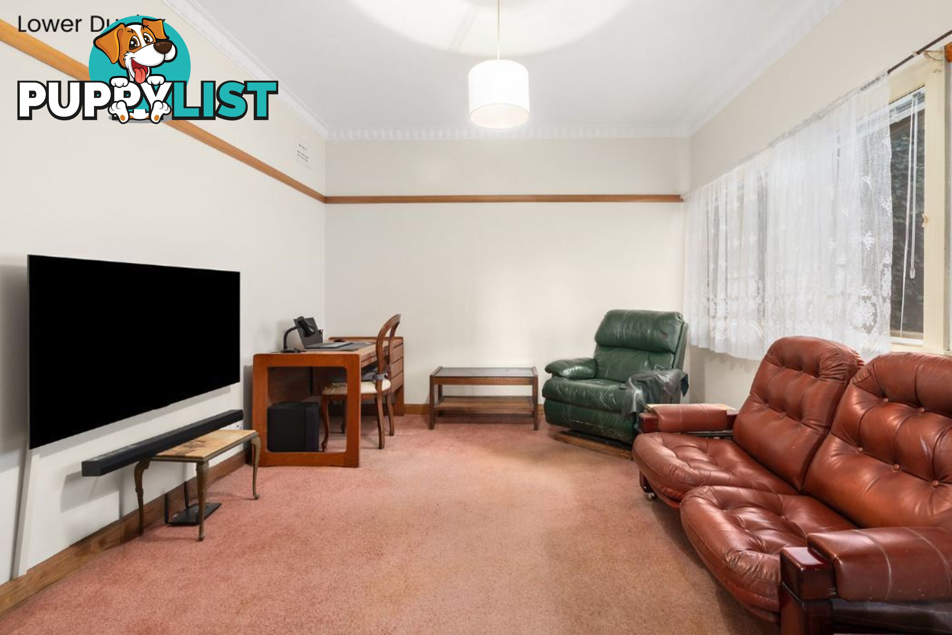 3 Bentley Street BALGOWLAH NSW 2093