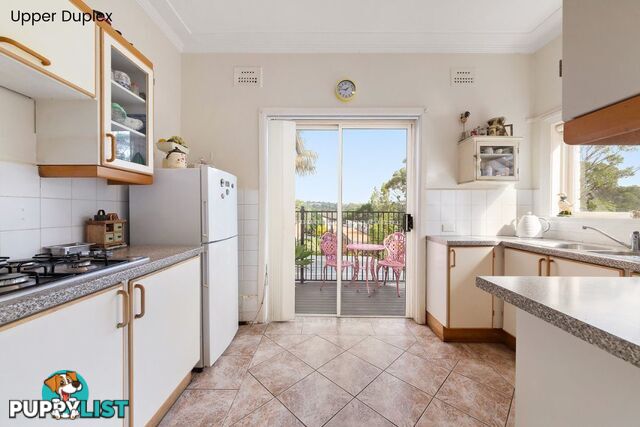 3 Bentley Street BALGOWLAH NSW 2093