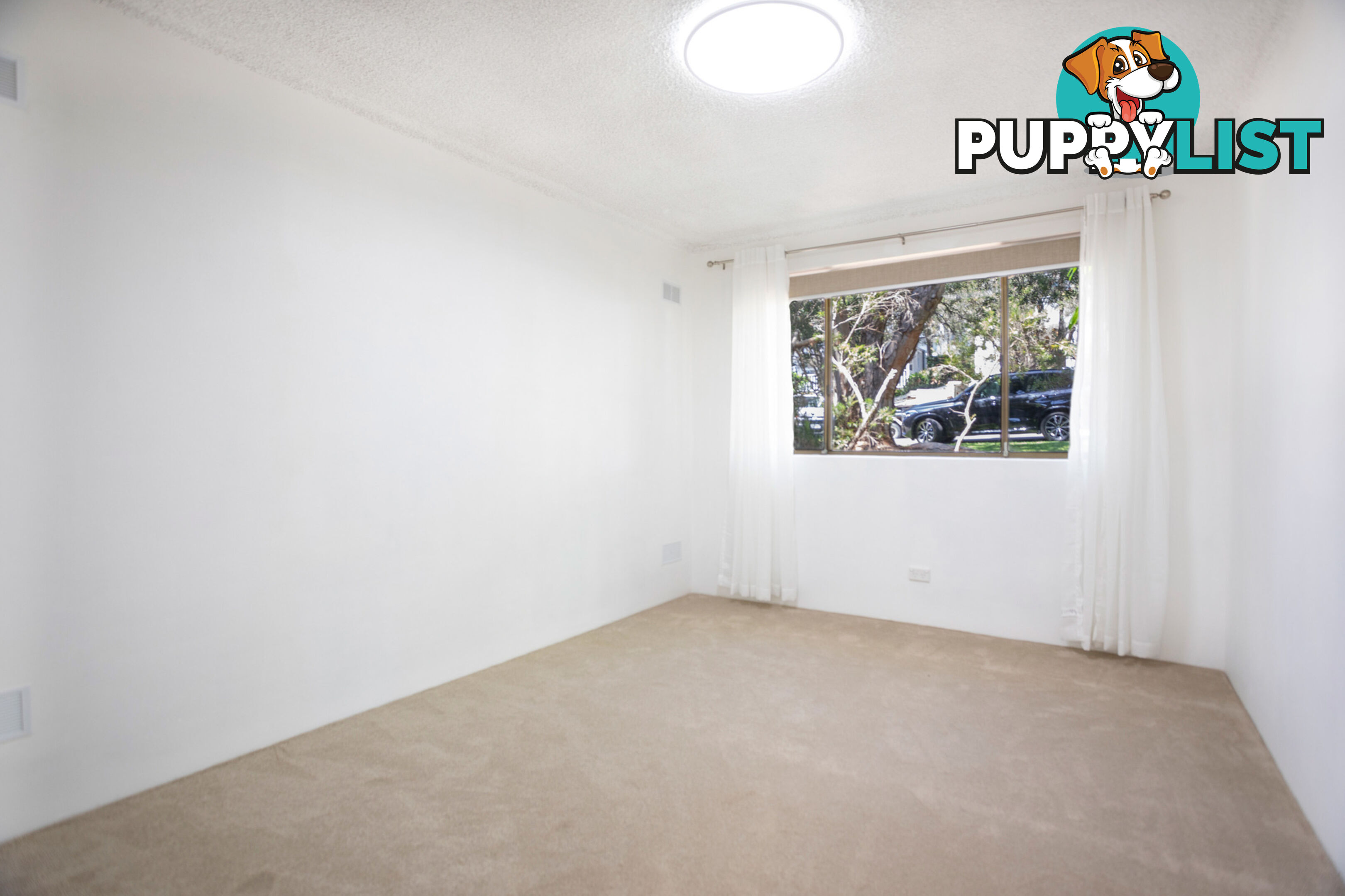 1/3 Daintrey Street FAIRLIGHT NSW 2094