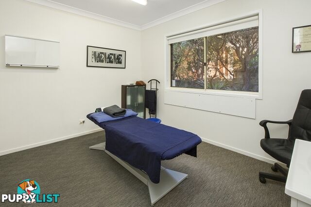 197 Woodland Street BALGOWLAH NSW 2093