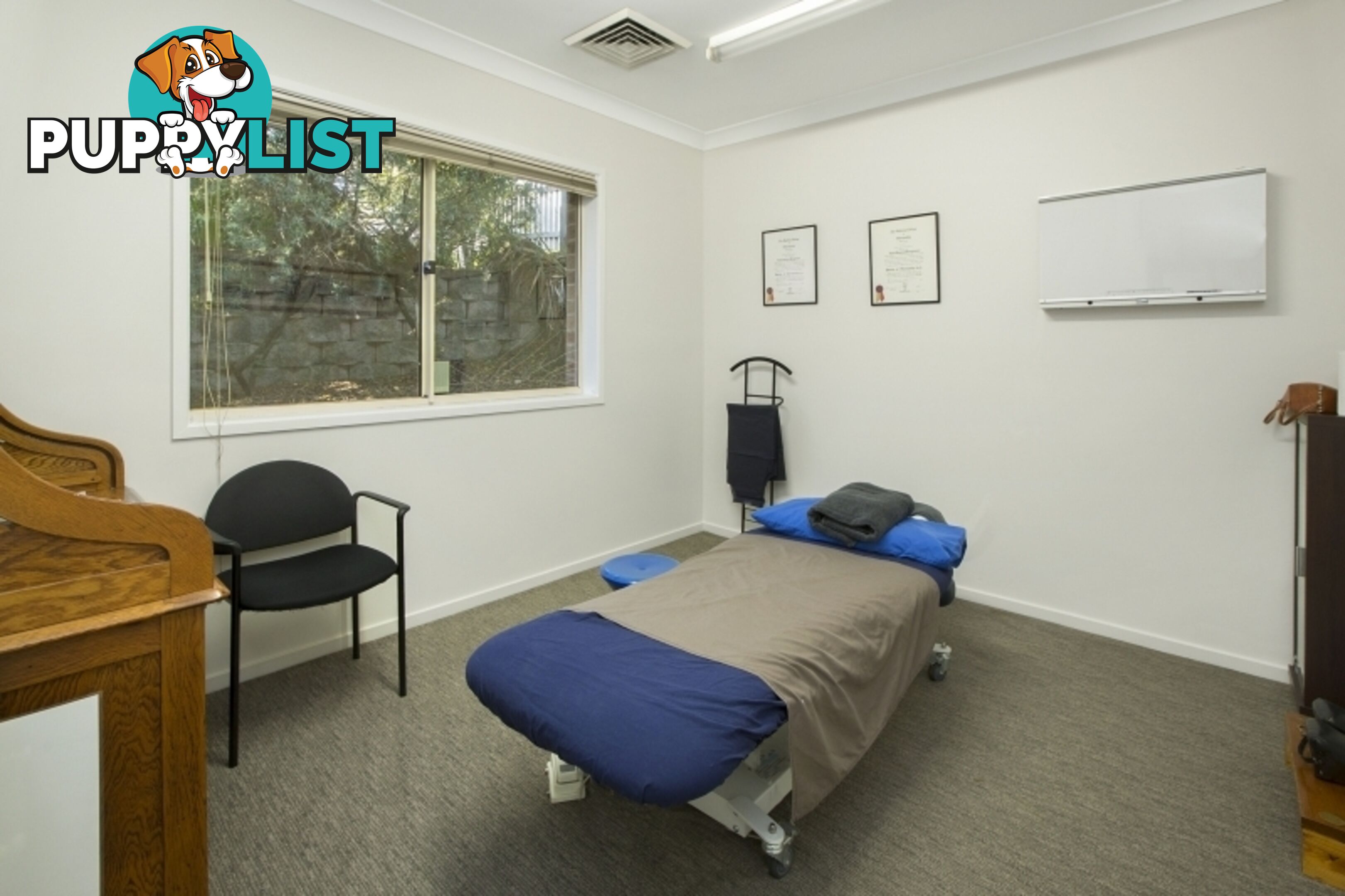 197 Woodland Street BALGOWLAH NSW 2093