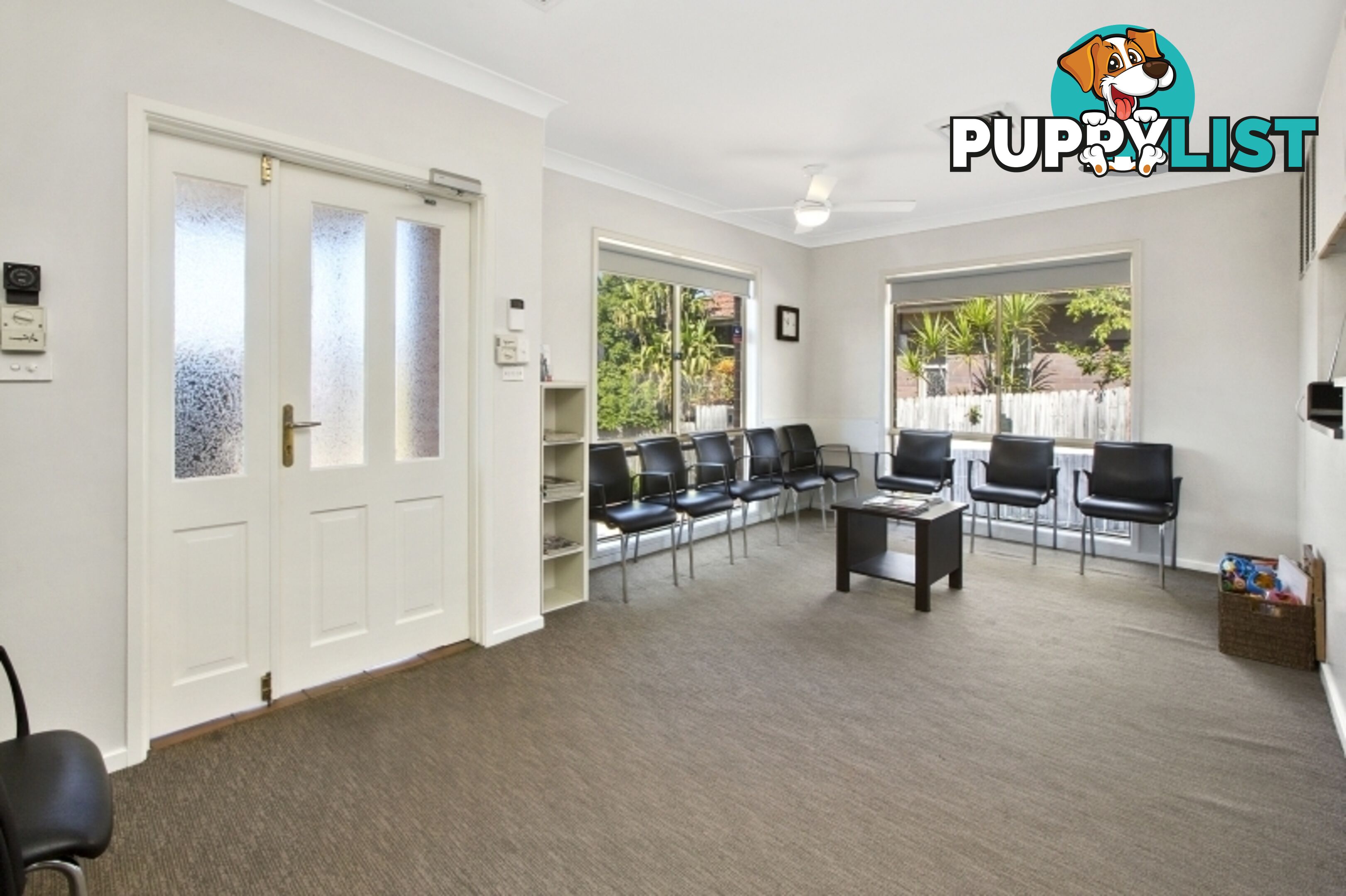 197 Woodland Street BALGOWLAH NSW 2093