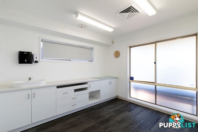 197 Woodland Street BALGOWLAH NSW 2093
