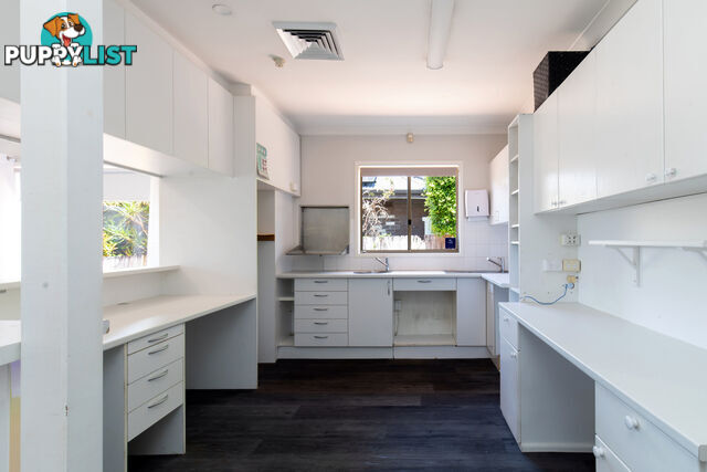 197 Woodland Street BALGOWLAH NSW 2093