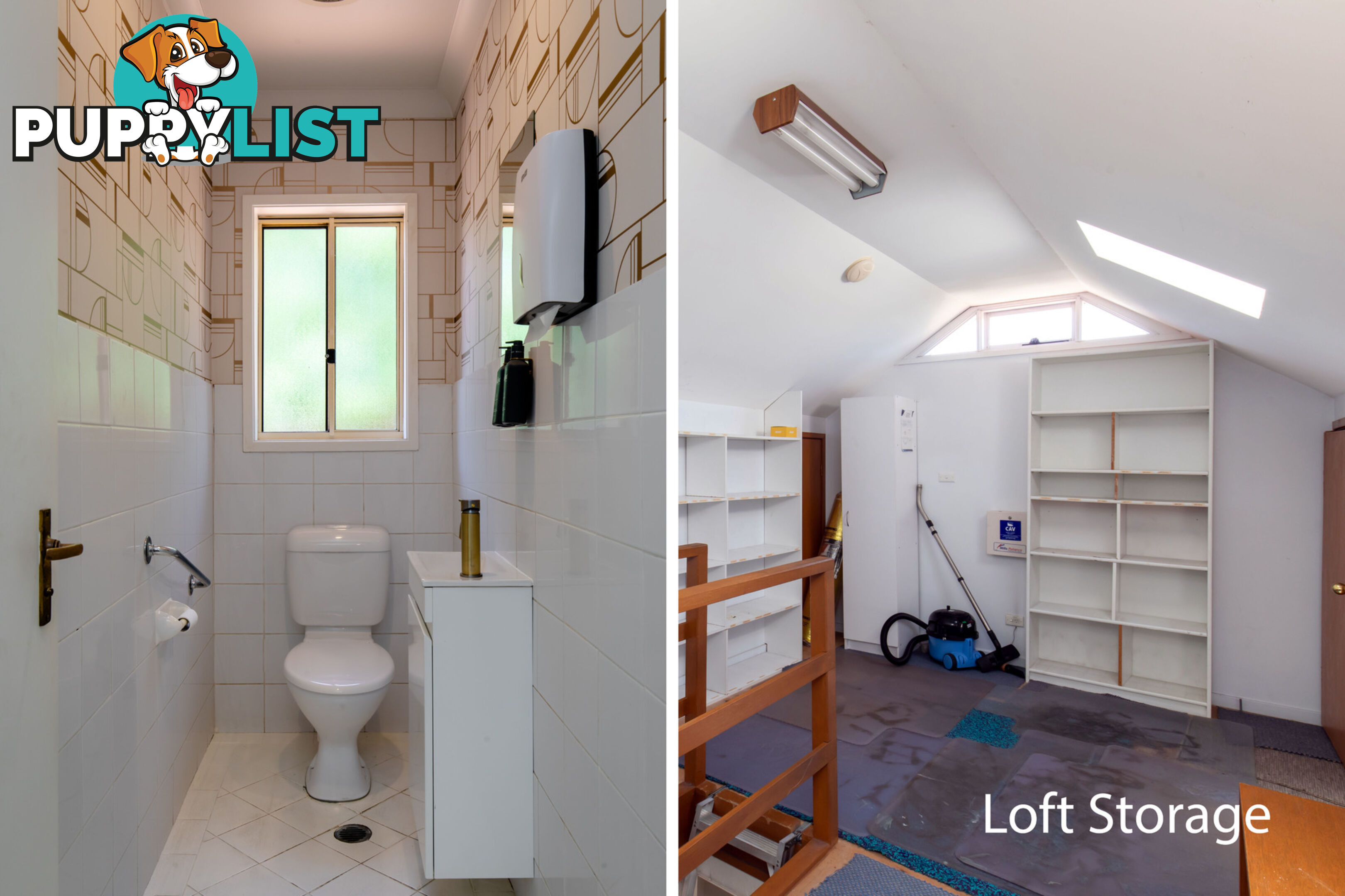197 Woodland Street BALGOWLAH NSW 2093