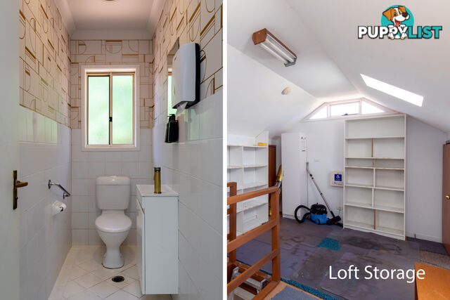 197 Woodland Street BALGOWLAH NSW 2093