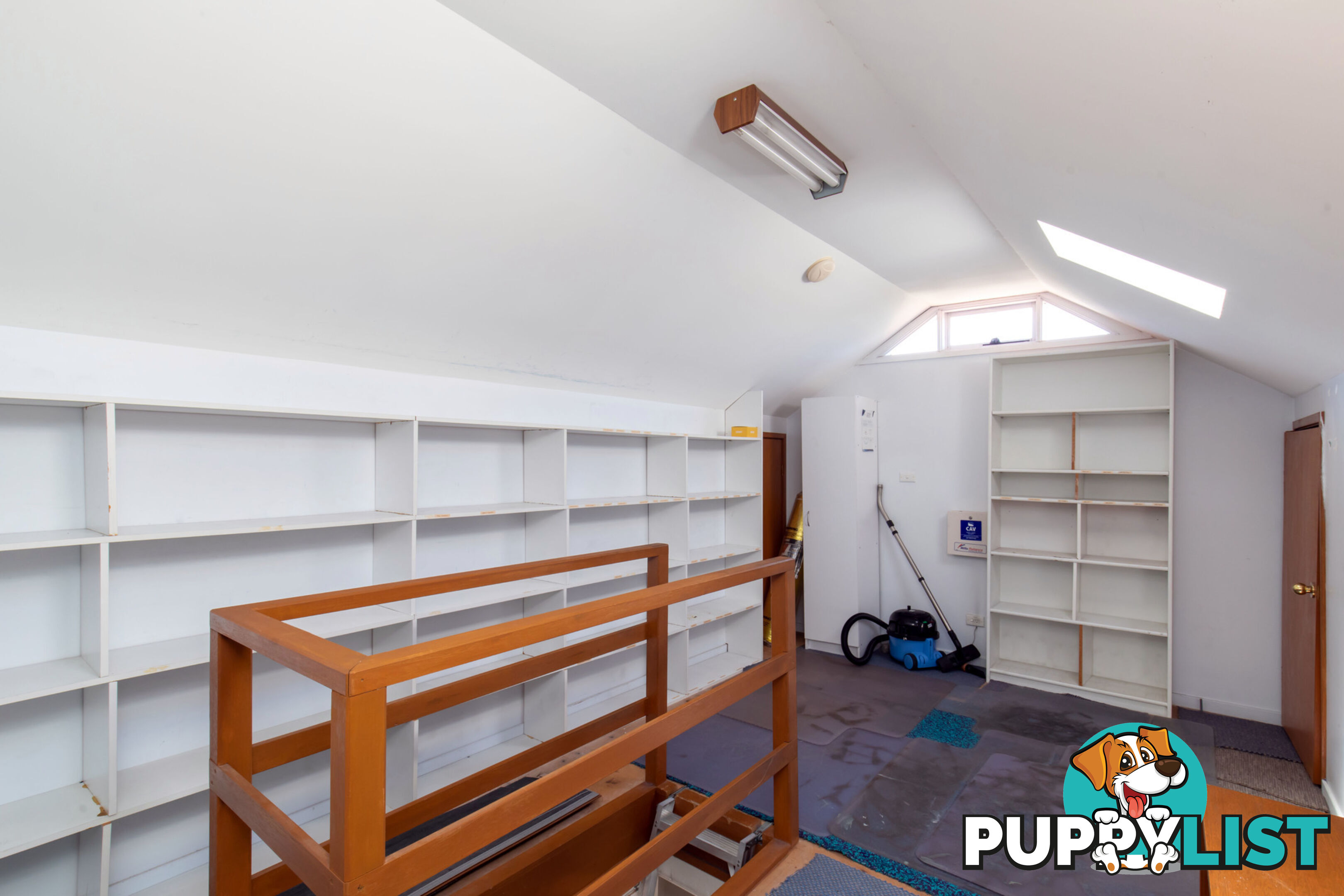 197 Woodland Street BALGOWLAH NSW 2093
