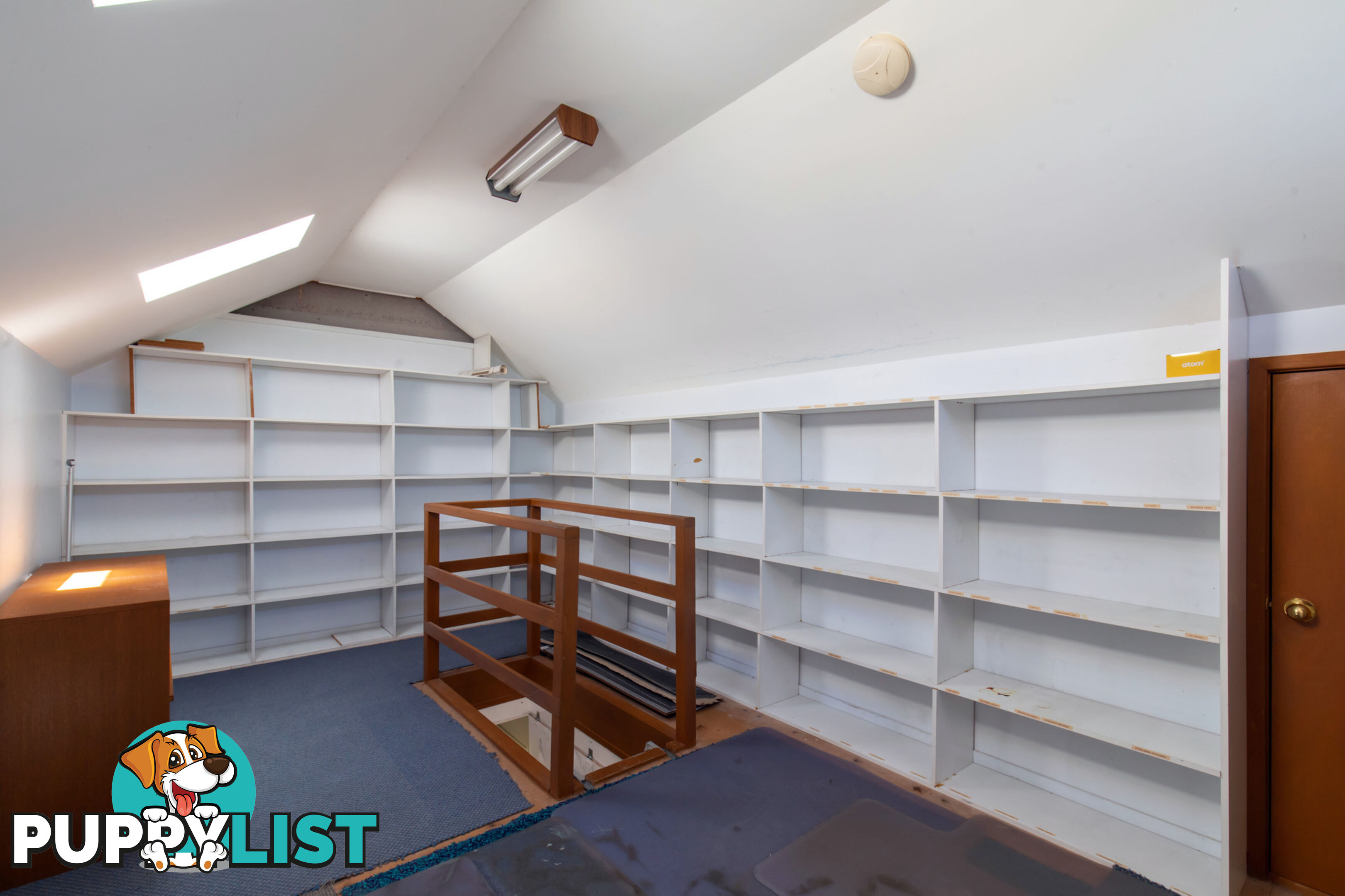 197 Woodland Street BALGOWLAH NSW 2093