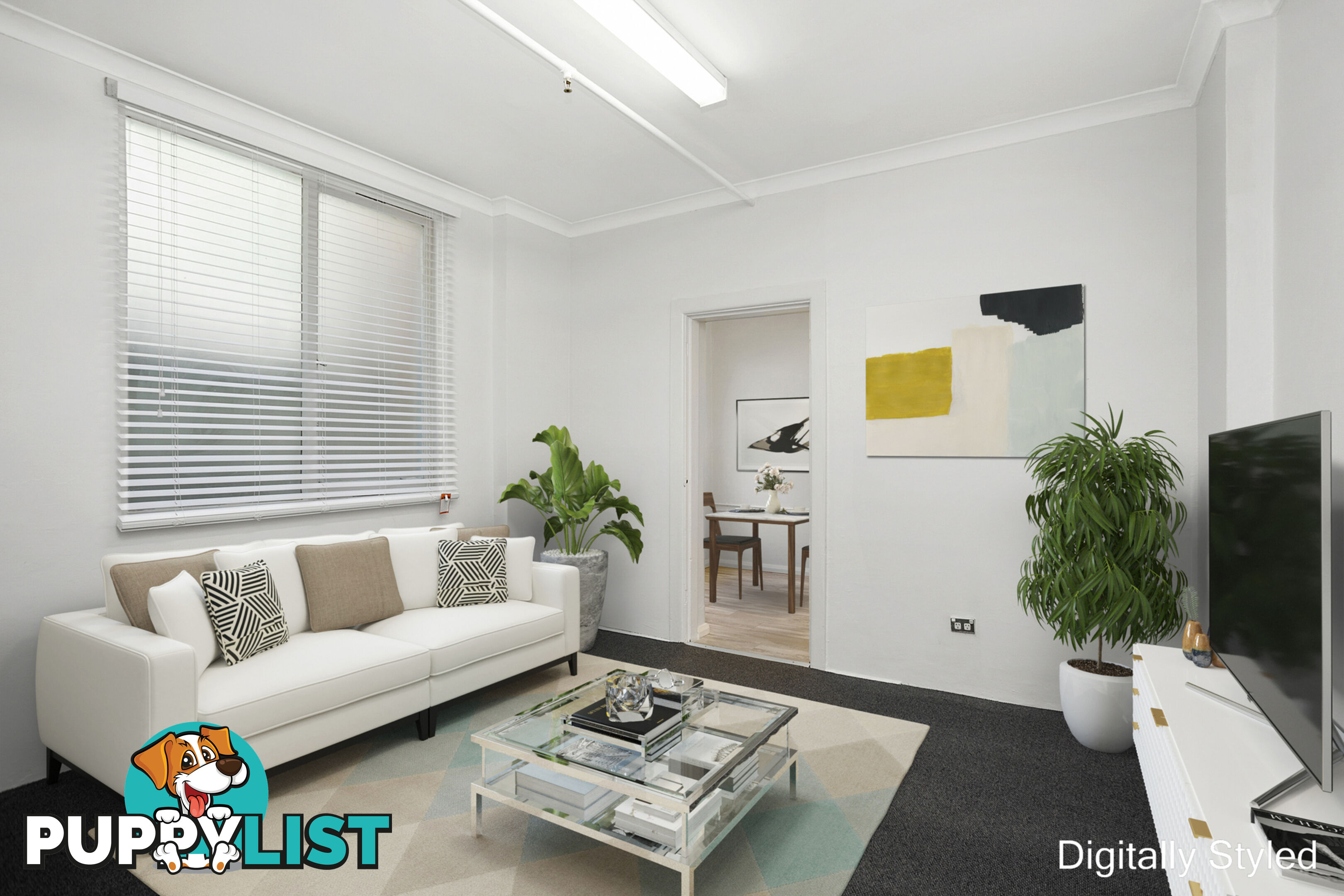 2/62B Darlinghurst Road POTTS POINT NSW 2011