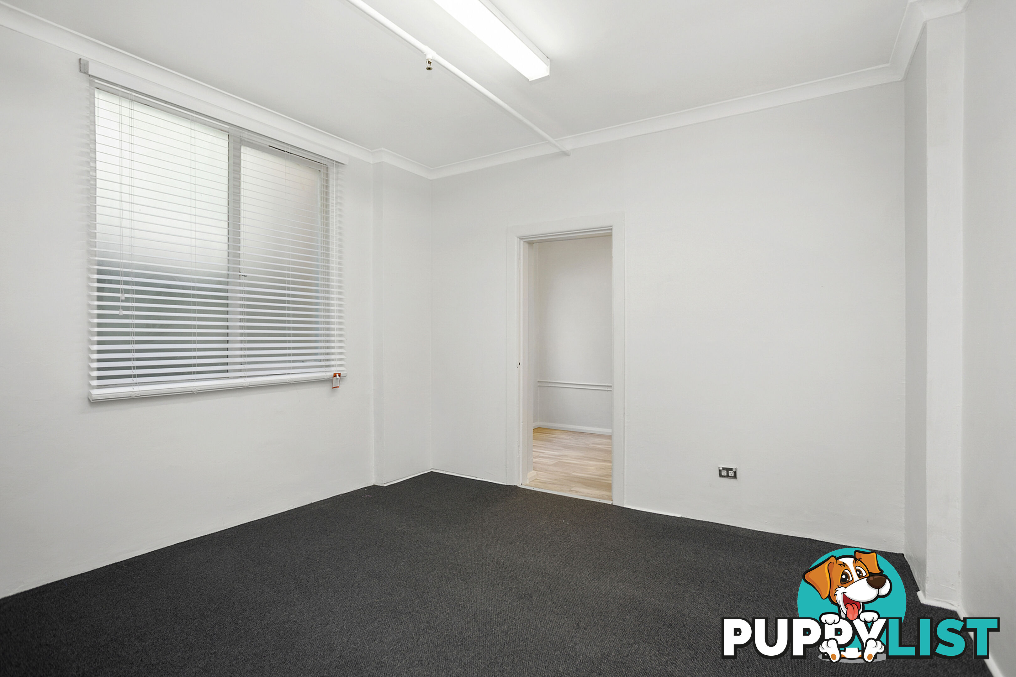 2/62B Darlinghurst Road POTTS POINT NSW 2011