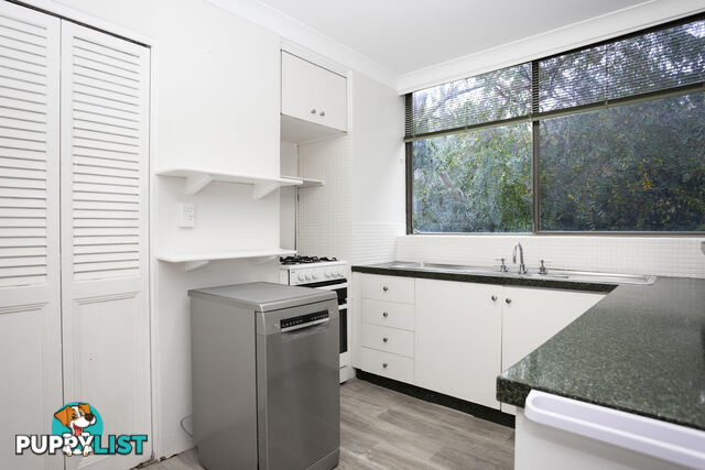 2/11 Willyama Avenue FAIRLIGHT NSW 2094