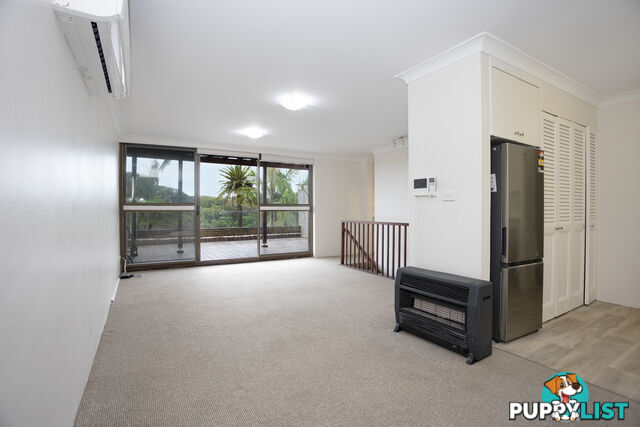 2/11 Willyama Avenue FAIRLIGHT NSW 2094