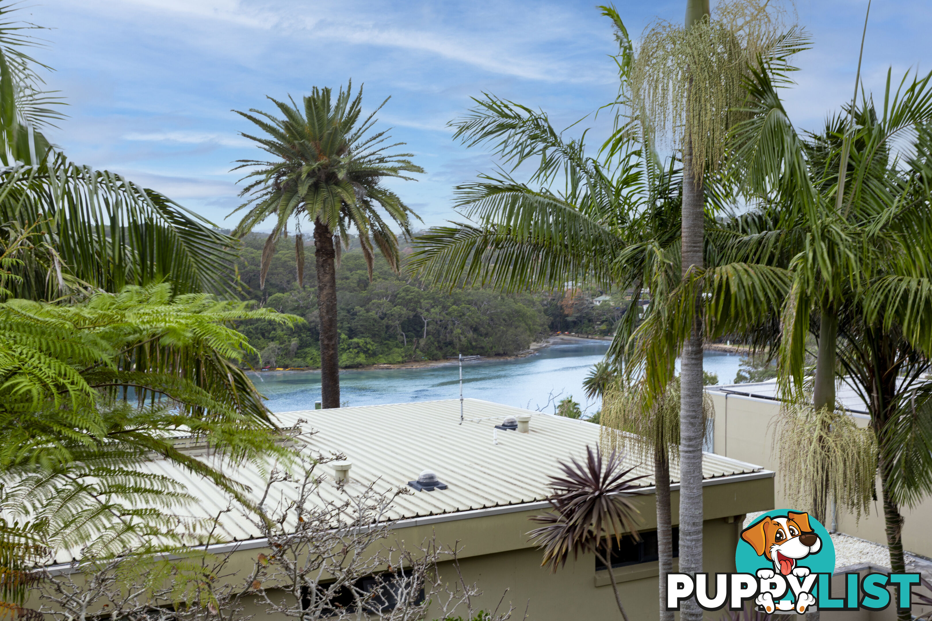 2/11 Willyama Avenue FAIRLIGHT NSW 2094