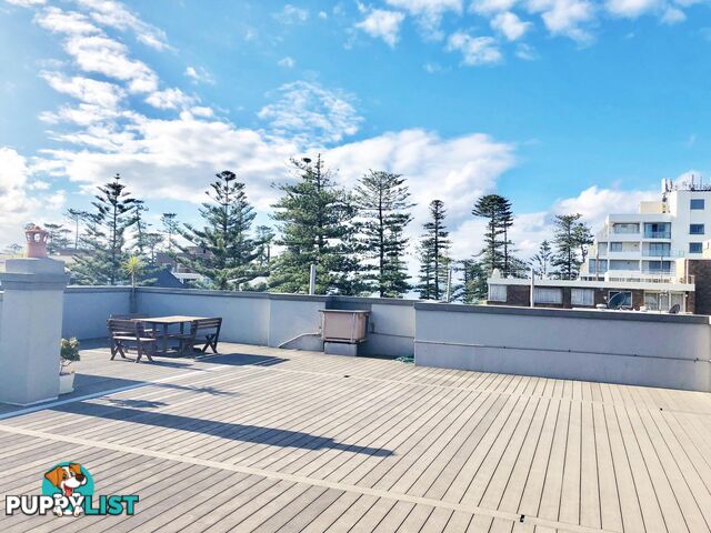 4/28 Victoria Parade MANLY NSW 2095