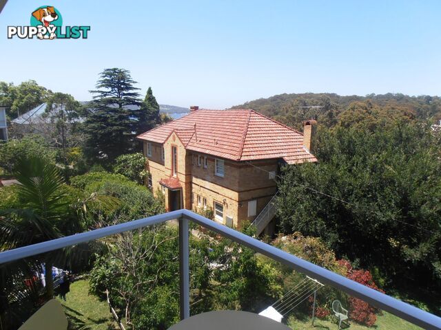 8/9 White Street BALGOWLAH NSW 2093