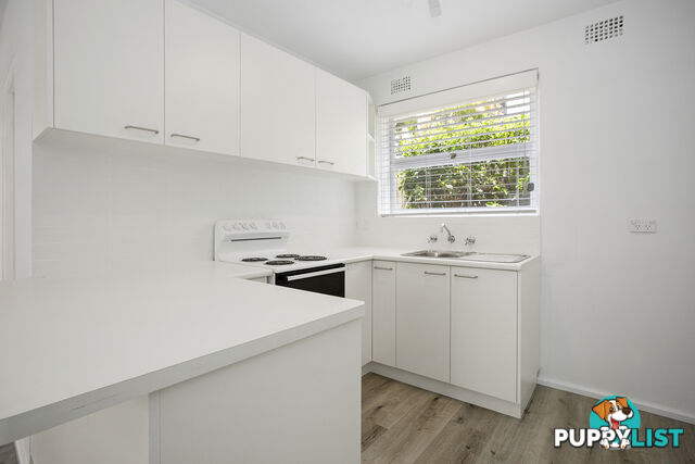 3/28 Clarence Avenue DEE WHY NSW 2099