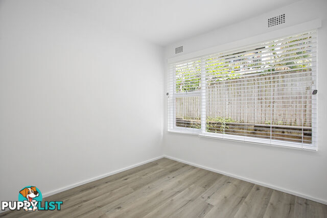 3/28 Clarence Avenue DEE WHY NSW 2099
