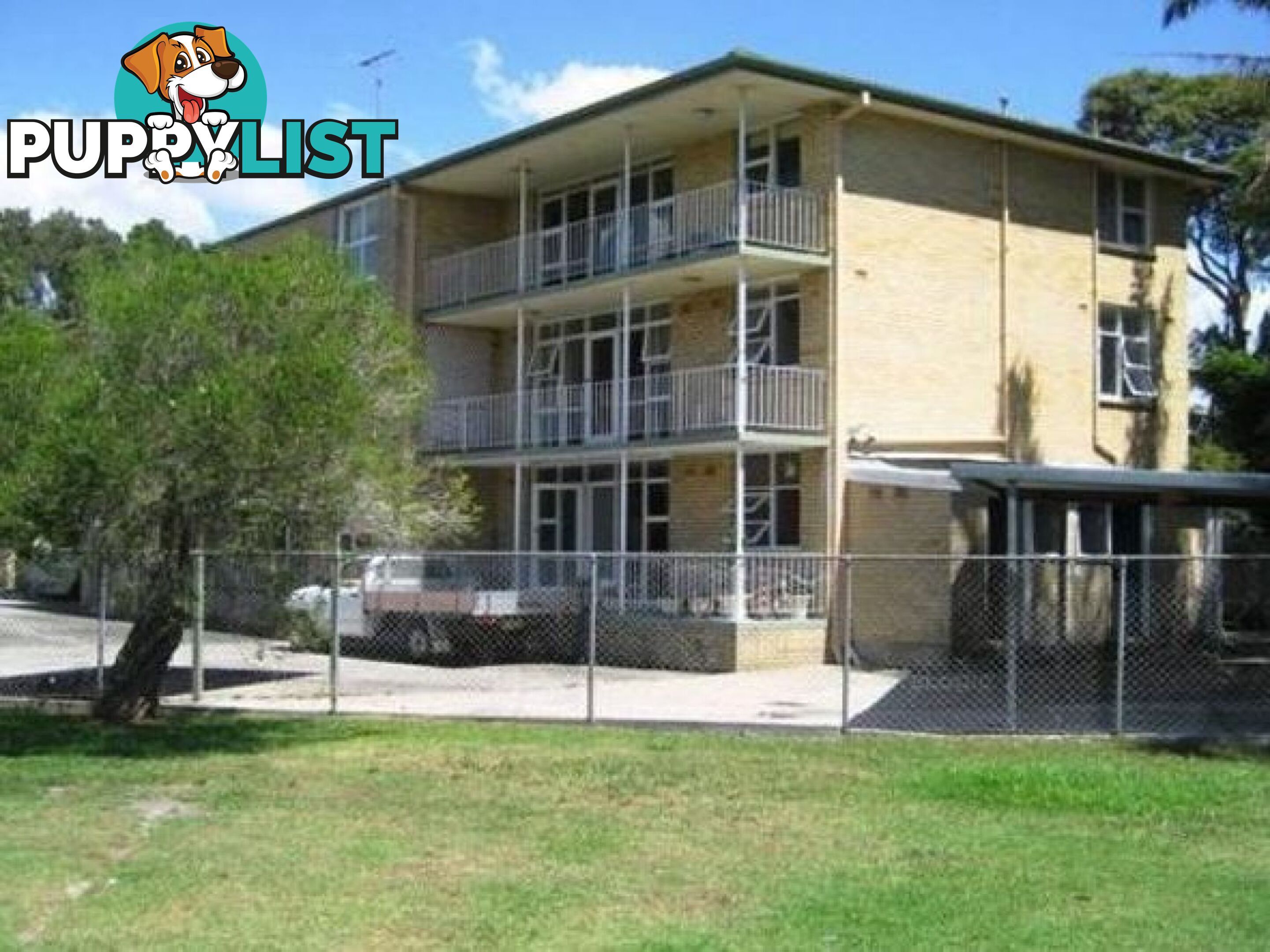 13/14 Grafton Crescent DEE WHY NSW 2099