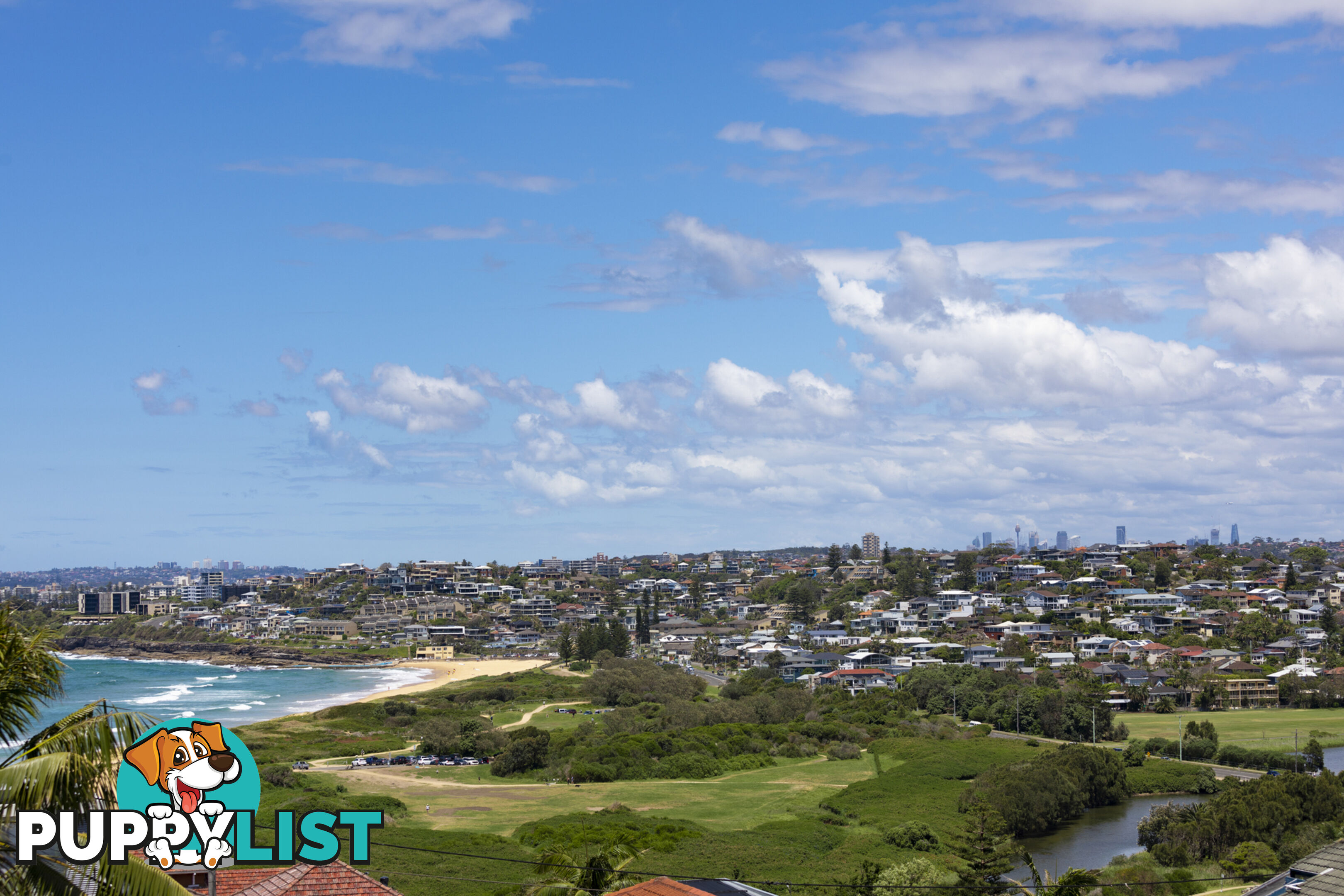 7 Austin Avenue NORTH CURL CURL NSW 2099