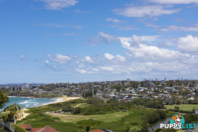 7 Austin Avenue NORTH CURL CURL NSW 2099