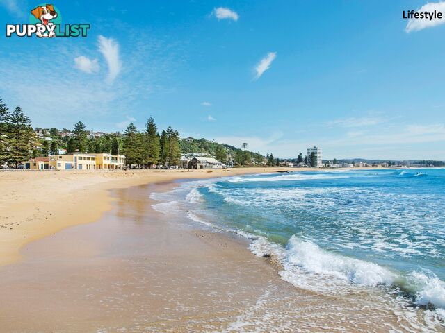 5/9 Ramsay Street COLLAROY NSW 2097