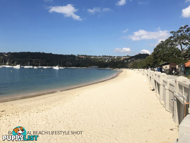 12/61 Spit Road MOSMAN NSW 2088