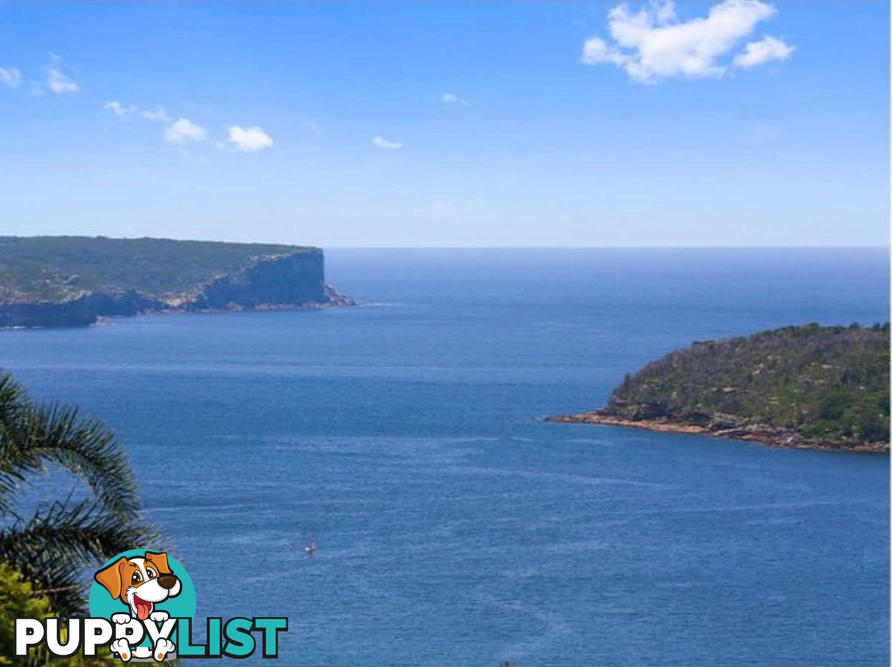 12/61 Spit Road MOSMAN NSW 2088