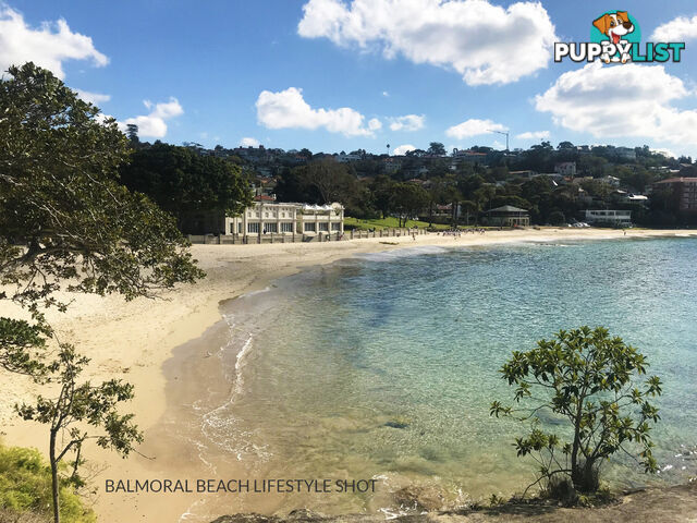 12/61 Spit Road MOSMAN NSW 2088