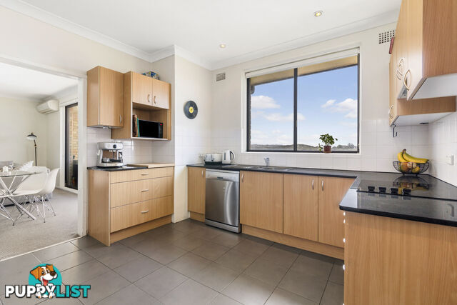 6/19 Rickard Street BALGOWLAH NSW 2093