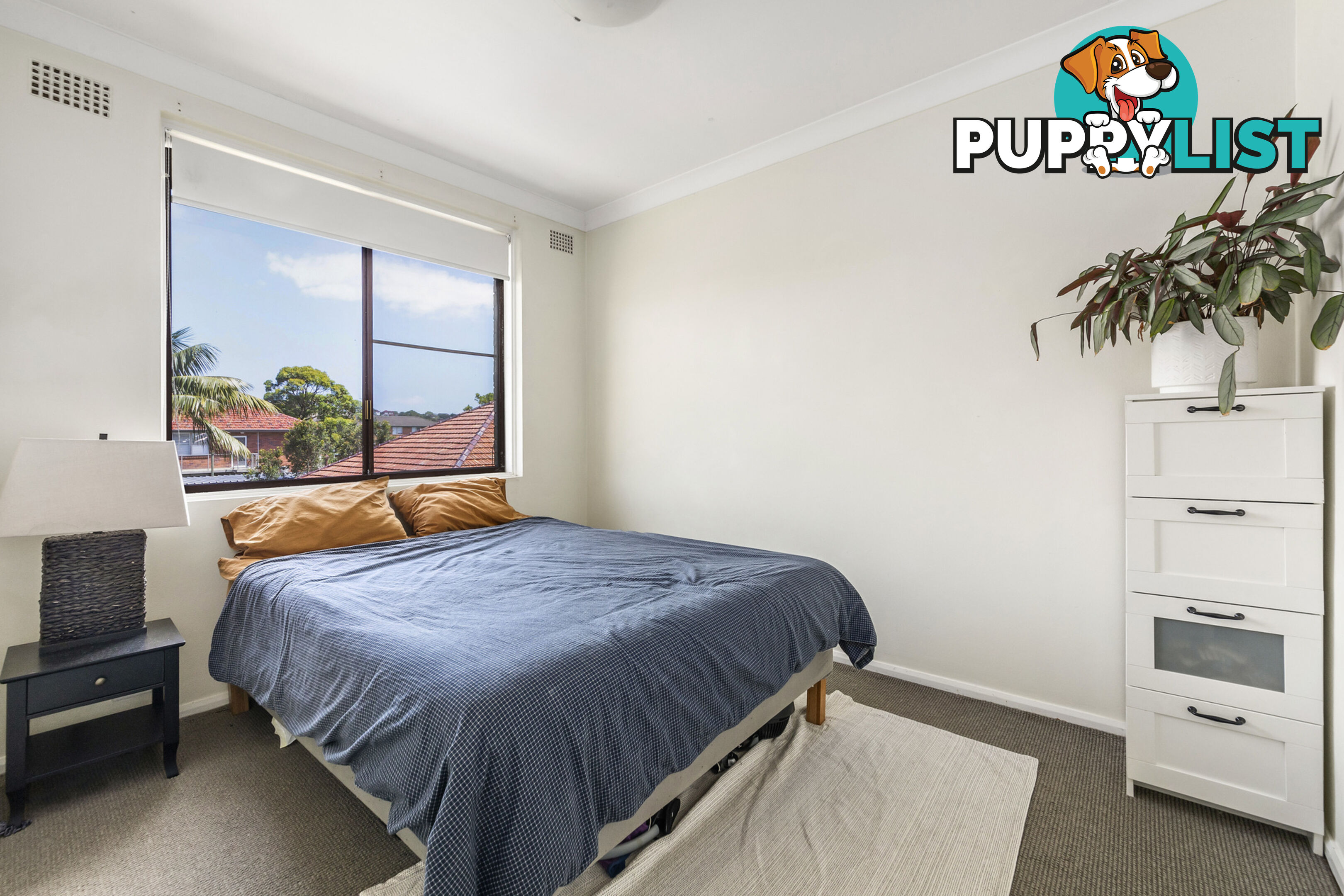 6/19 Rickard Street BALGOWLAH NSW 2093