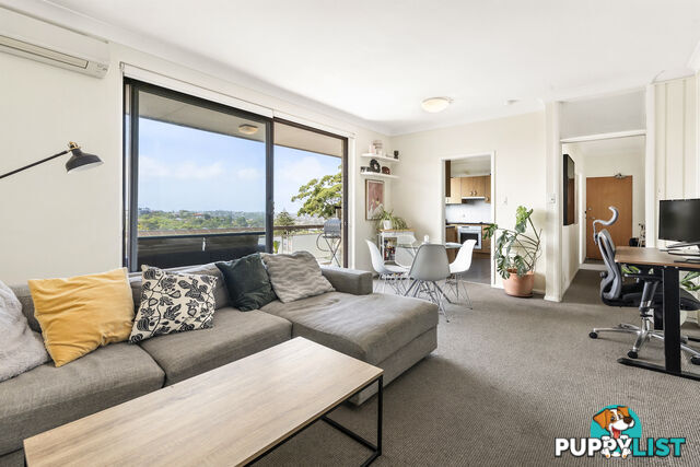 6/19 Rickard Street BALGOWLAH NSW 2093