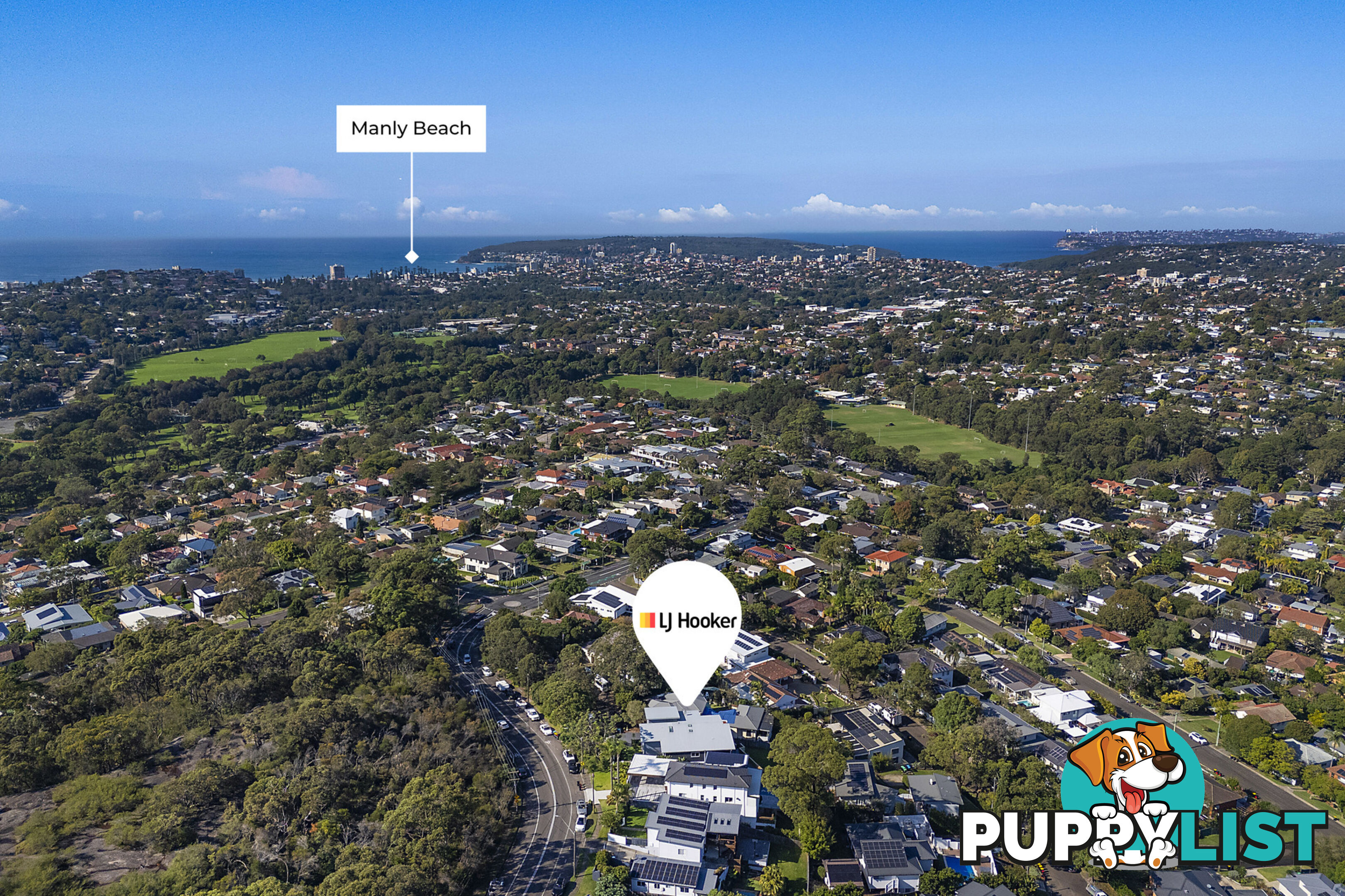 21 Allambie Road ALLAMBIE HEIGHTS NSW 2100