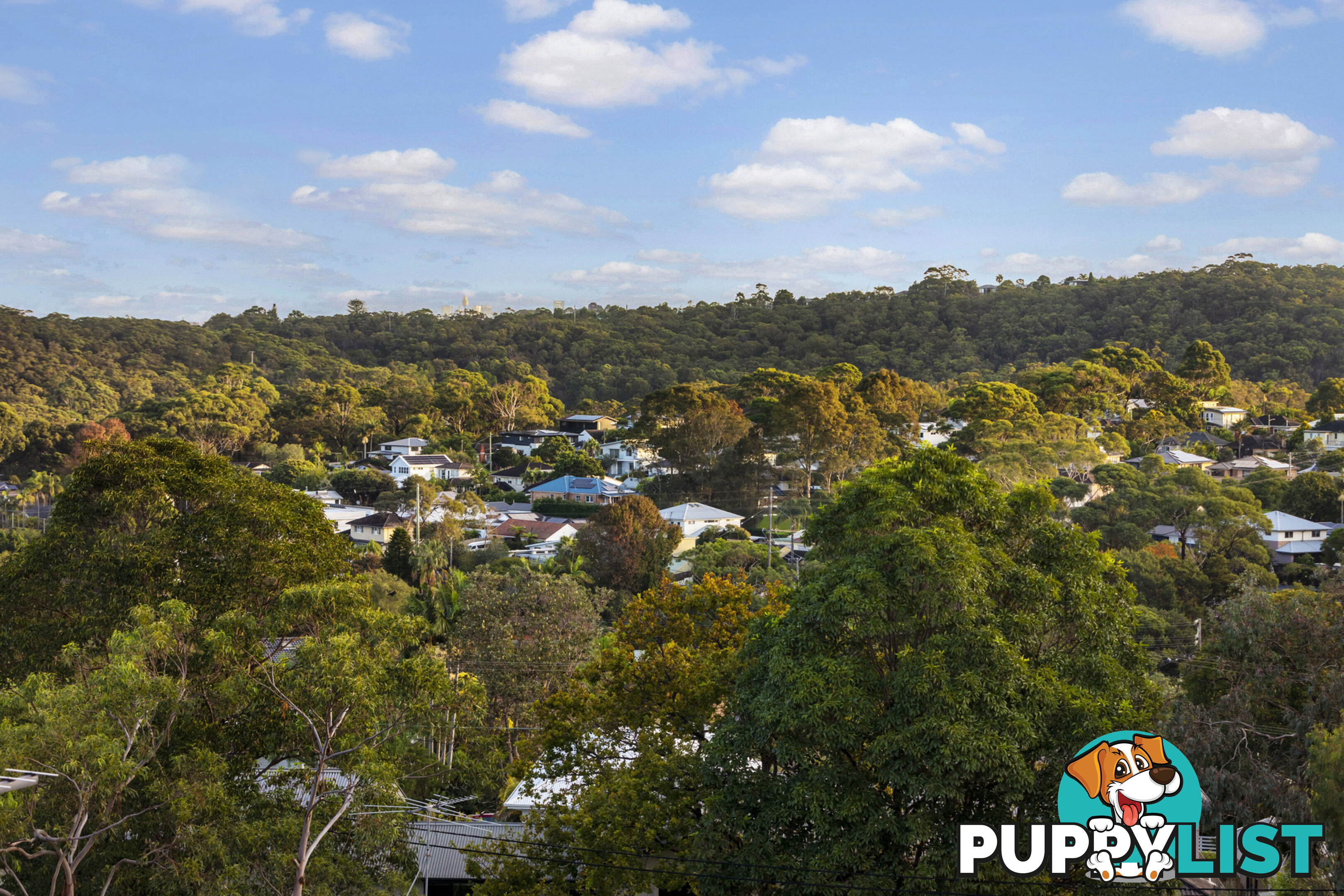 21 Allambie Road ALLAMBIE HEIGHTS NSW 2100