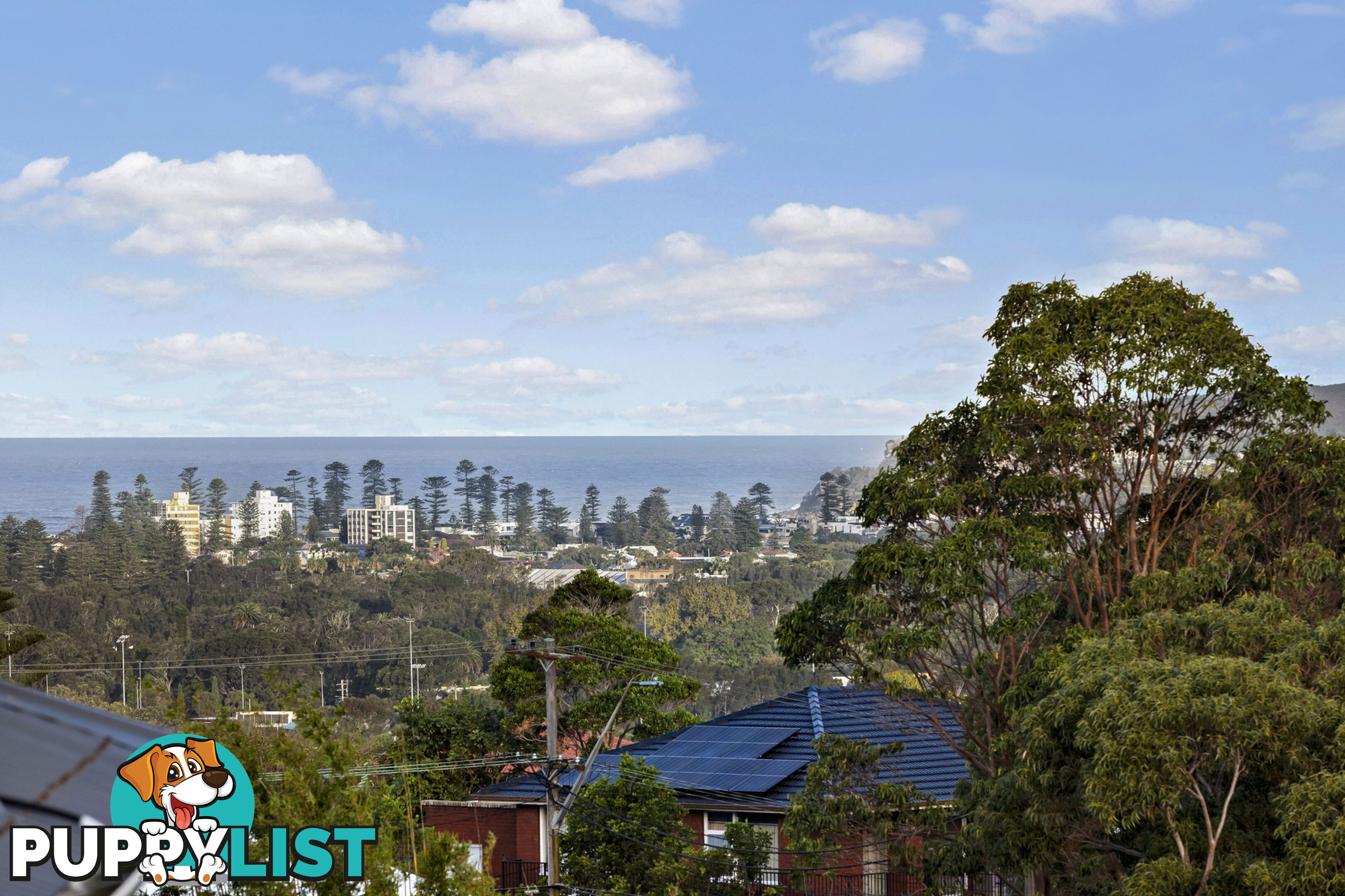 21 Allambie Road ALLAMBIE HEIGHTS NSW 2100