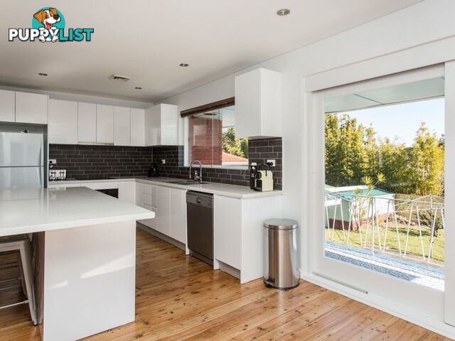 35 Heathcliff Crescent BALGOWLAH HEIGHTS NSW 2093