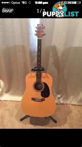 Ashton acoustic guitar